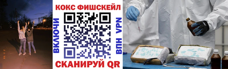 сколько стоит  Ковылкино  Кокаин Fish Scale 
