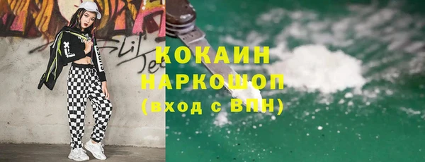 spice Бородино