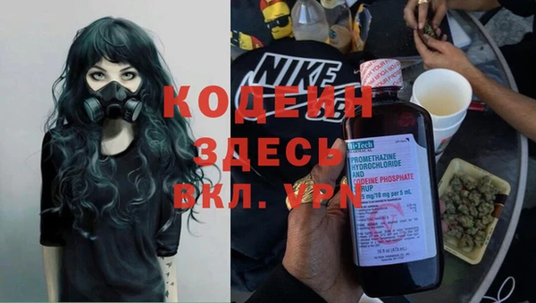 spice Бородино