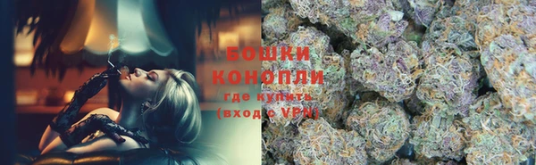 spice Бородино