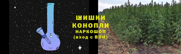 spice Бородино