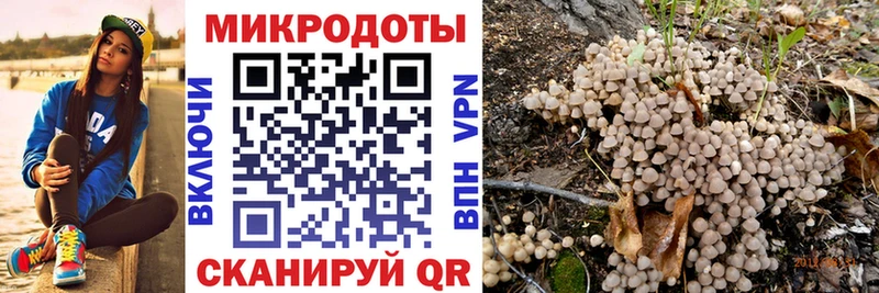 Псилоцибиновые грибы ЛСД  мега ССЫЛКА  Ковылкино  цена наркотик 