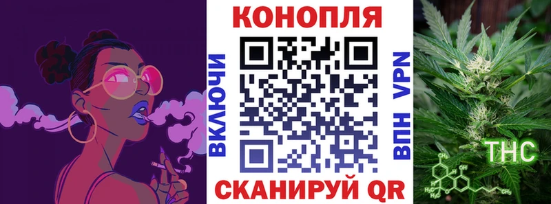 где найти наркотики  Ковылкино  Бошки Шишки гибрид 